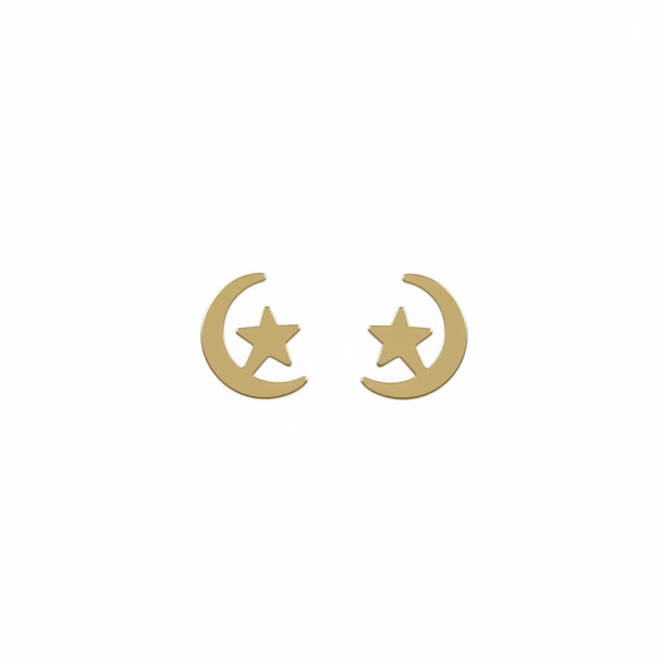 Star and Moon Earrings