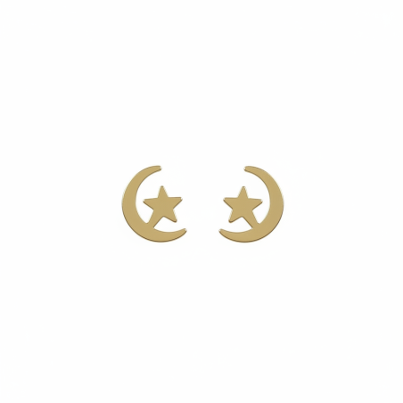 Star and Moon Earrings